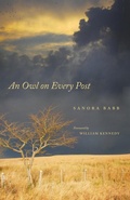 Cover: An Owl on Every Post - Muse Ink Press