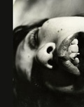 Cover: Impossible Love - Steidl