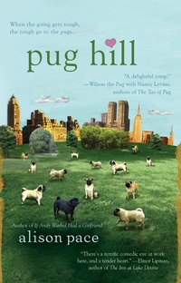 Enlarge image Cover: Pug Hill - Berkley