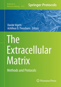 Abbildung von: The Extracellular Matrix - Humana