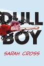Cover: Dull Boy - Dutton Children's Books
