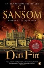 Cover: Dark Fire - Penguin Books