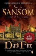 Cover: Dark Fire - Penguin Books