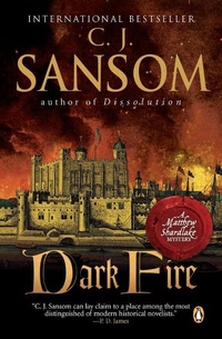 Enlarge image Cover: Dark Fire - Penguin Books