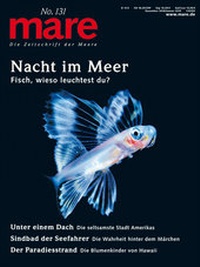 Abbildung von: mare - Die Zeitschrift der Meere / No. 131/ Nacht im Meer - mareverlag