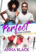 Cover: The Perfect Love Storm - Urban Renaissance