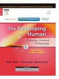 Bild: The Developing Human: Clinically Oriented Embryology, 9e - Elsevier