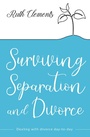 Cover: Surviving Separation and Divorce - Lion Books