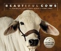 Cover: Beautiful Cows - Ivy Press