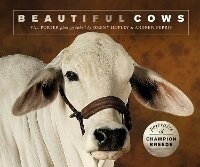 Enlarge image Cover: Beautiful Cows - Ivy Press
