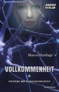 Cover: Vollkommenheit - Hybrid Verlag