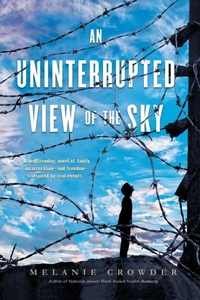 Enlarge image Cover: An Uninterrupted View of the Sky - Viking