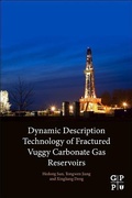Cover: Dynamic Description Technology of Fractured Vuggy Carbonate Gas Reservoirs - Gulf Professional Publishing