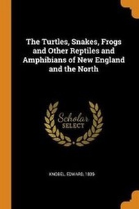 Abbildung von: The Turtles, Snakes, Frogs and Other Reptiles and Amphibians of New England and the North - Franklin Classics
