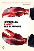 Cover: New Bedlam - Penguin Books