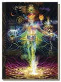 Cover: Starman Tarot Journal - Llewellyn Publications