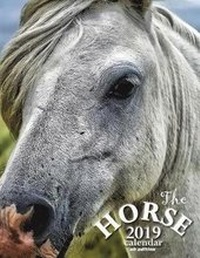 Abbildung von: The Horse 2019 Calendar (UK Edition) - Wall Publishing