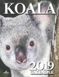 Abbildung von: Koala 2019 Calendar (UK Edition) - Wall Publishing