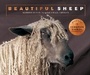 Cover: Beautiful Sheep - Ivy Press