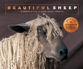 Cover: Beautiful Sheep - Ivy Press