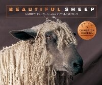 Abbildung von: Beautiful Sheep - Ivy Press