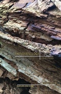 Cover: Phenomenology - Automatic Press / VIP