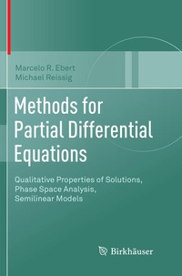 Enlarge image Cover: Methods for Partial Differential Equations - Birkhäuser