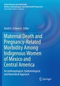 Abbildung von: Maternal Death and Pregnancy-Related Morbidity Among Indigenous Women of Mexico and Central America - Springer