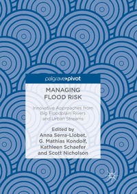 Enlarge image Cover: Managing Flood Risk - Palgrave Macmillan