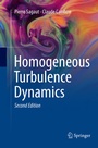 Cover: Homogeneous Turbulence Dynamics - Springer