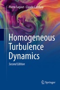 Cover: Homogeneous Turbulence Dynamics - Springer
