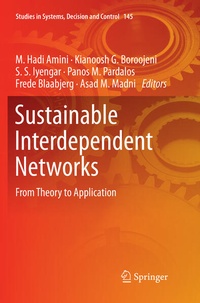 Enlarge image Cover: Sustainable Interdependent Networks - Springer