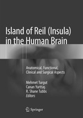 Cover: Island of Reil (Insula) in the Human Brain - Springer