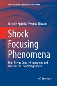 Enlarge image Cover: Shock Focusing Phenomena - Springer