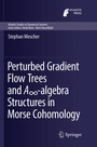 Cover: Perturbed Gradient Flow Trees and A8-algebra Structures in Morse Cohomology - Springer
