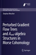 Bild: Perturbed Gradient Flow Trees and A8-algebra Structures in Morse Cohomology - Springer