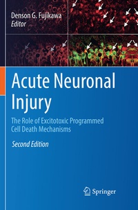 Abbildung von: Acute Neuronal Injury - Springer