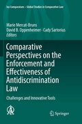 Cover: Comparative Perspectives on the Enforcement and Effectiveness of Antidiscrimination Law - Springer