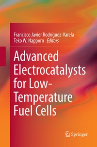 Abbildung von: Advanced Electrocatalysts for Low-Temperature Fuel Cells - Springer