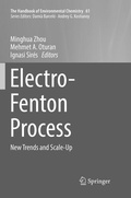 Cover: Electro-Fenton Process - Springer
