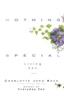 Cover: Nothing Special - HarperOne
