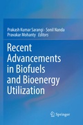 Cover: Recent Advancements in Biofuels and Bioenergy Utilization - Springer