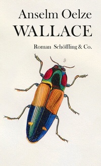 Abbildung von: Wallace - Schöffling