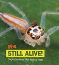 Cover: It's Still Alive! - Raintree