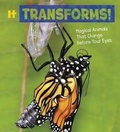 Cover: Magical Animals Pack A of 4 - Raintree