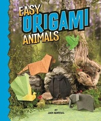 Enlarge image Cover: Easy Origami Animals - Raintree
