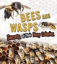 Enlarge image Cover: Bees and Wasps - Raintree