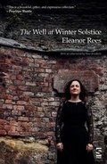 Cover: The Well at Winter Solstice - Salt Publishing
