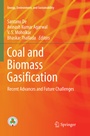 Cover: Coal and Biomass Gasification - Springer