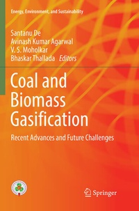 Enlarge image Cover: Coal and Biomass Gasification - Springer